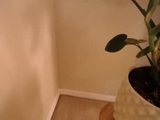 playfulmarriedcouple 